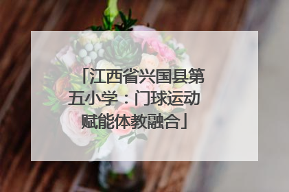 江西省兴国县第五小学：门球运动赋能体教融合