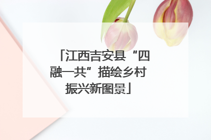 江西吉安县“四融一共”描绘乡村振兴新图景