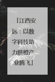 江西安远：以数字科技助力脐橙产业腾飞