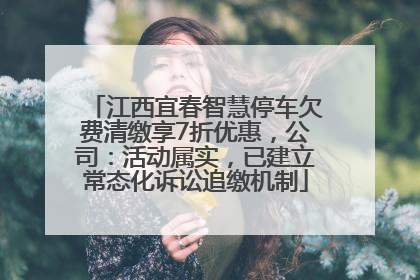 江西宜春智慧停车欠费清缴享7折优惠，公司：活动属实，已建立常态化诉讼追缴机制