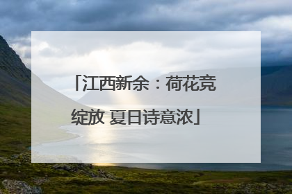 江西新余：荷花竞绽放 夏日诗意浓