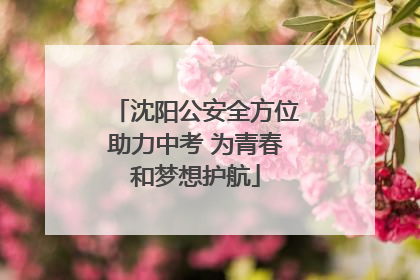 沈阳公安全方位助力中考 为青春和梦想护航