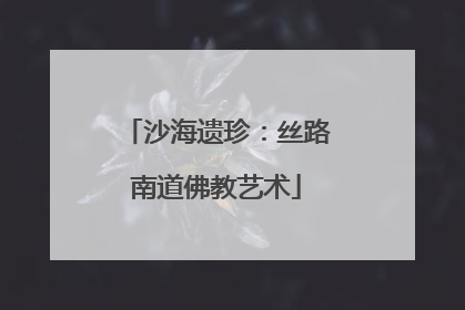 沙海遗珍：丝路南道佛教艺术