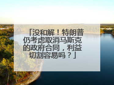 没和解！特朗普仍考虑取消马斯克的政府合同，利益切割容易吗？