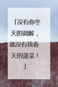 没有你冬天的调解，就没有我春天的菠菜！