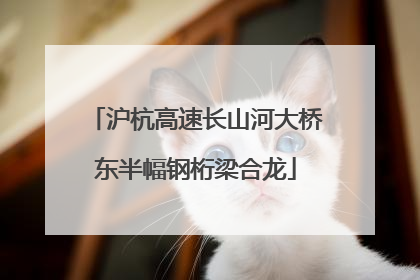 沪杭高速长山河大桥东半幅钢桁梁合龙
