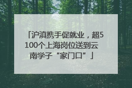 沪滇携手促就业，超5100个上海岗位送到云南学子“家门口”