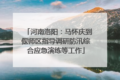 河南洛阳：马怀庆到偃师区指导调研防汛综合应急演练等工作