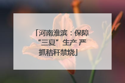河南淮滨：保障“三夏”生产 严抓秸秆禁烧