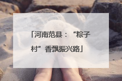 河南范县：“粽子村”香飘振兴路