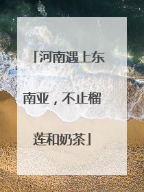 河南遇上东南亚，不止榴莲和奶茶