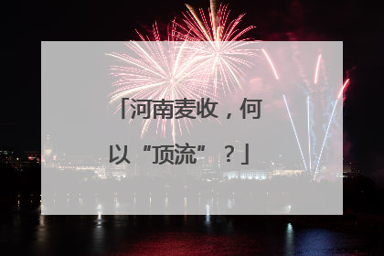 河南麦收，何以“顶流”？