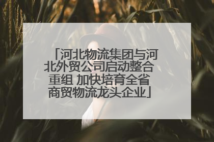 河北物流集团与河北外贸公司启动整合重组 加快培育全省商贸物流龙头企业