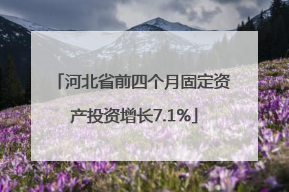河北省前四个月固定资产投资增长7.1%