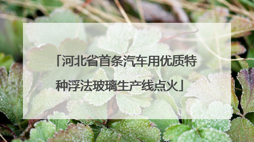 河北省首条汽车用优质特种浮法玻璃生产线点火