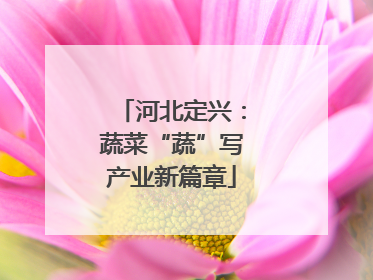 河北定兴：蔬菜“蔬”写产业新篇章