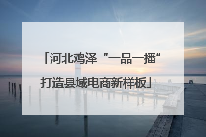 河北鸡泽“一品一播”打造县域电商新样板
