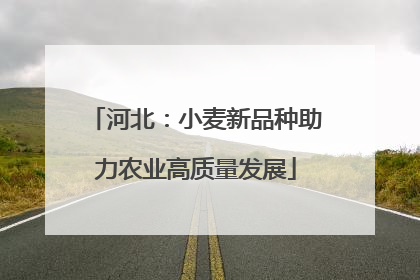 河北：小麦新品种助力农业高质量发展