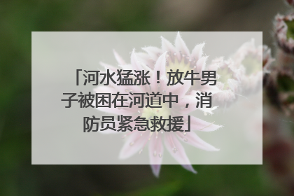 河水猛涨！放牛男子被困在河道中，消防员紧急救援