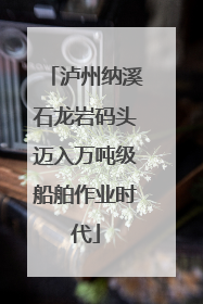 泸州纳溪石龙岩码头迈入万吨级船舶作业时代