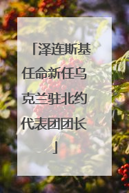 泽连斯基任命新任乌克兰驻北约代表团团长