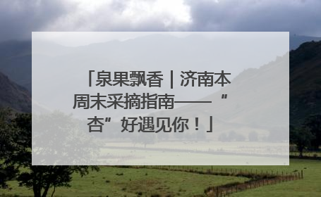 泉果飘香｜济南本周末采摘指南——“杏”好遇见你！