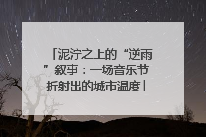 泥泞之上的“逆雨”叙事：一场音乐节折射出的城市温度