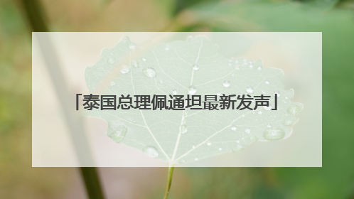 泰国总理佩通坦最新发声