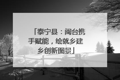 泰宁县：闽台携手赋能，绘就乡建乡创新图景