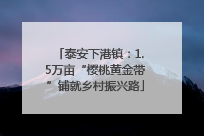 泰安下港镇：1.5万亩“樱桃黄金带”铺就乡村振兴路