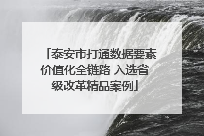 泰安市打通数据要素价值化全链路 入选省级改革精品案例