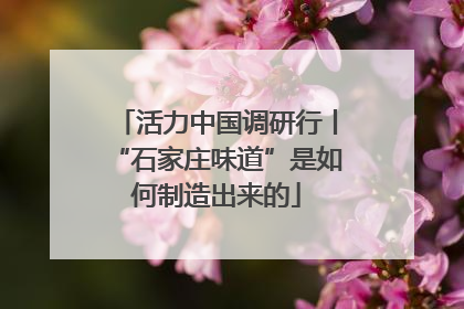活力中国调研行丨“石家庄味道”是如何制造出来的