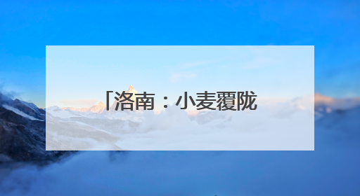 洛南：小麦覆陇黄 丰收好时节