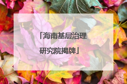 海南基层治理研究院揭牌