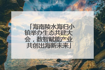海南陵水海归小镇举办生态共建大会，数智赋能产业共创出海新未来