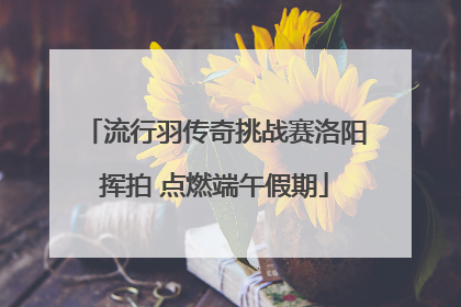 流行羽传奇挑战赛洛阳挥拍 点燃端午假期