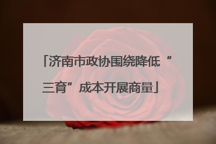 济南市政协围绕降低“三育”成本开展商量