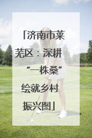 济南市莱芜区：深耕“一株桑” 绘就乡村振兴图