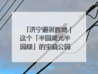济宁避暑胜地｜这个「半园湖光半园绿」的宝藏公园藏不住了！