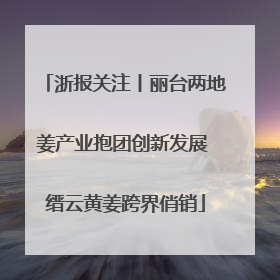 浙报关注丨丽台两地姜产业抱团创新发展 缙云黄姜跨界俏销