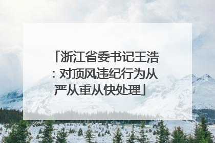 浙江省委书记王浩：对顶风违纪行为从严从重从快处理
