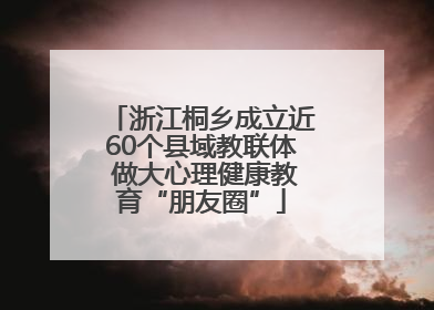 浙江桐乡成立近60个县域教联体 做大心理健康教育“朋友圈”