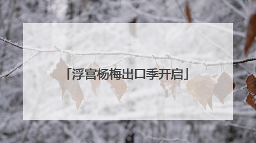 浮宫杨梅出口季开启