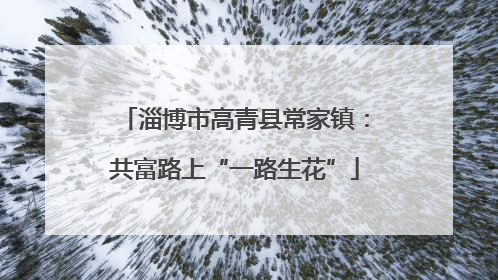 淄博市高青县常家镇：共富路上“一路生花”