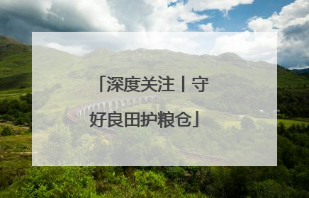 深度关注丨守好良田护粮仓