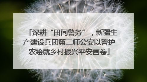 深耕“田间警务”，新疆生产建设兵团第二师公安以警护农绘就乡村振兴平安画卷