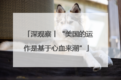 深观察丨“美国的运作是基于心血来潮”