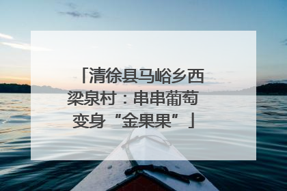 清徐县马峪乡西梁泉村：串串葡萄变身“金果果”