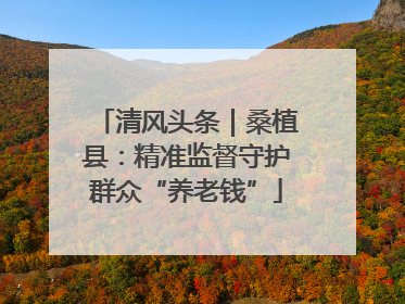 清风头条｜桑植县：精准监督守护群众“养老钱”