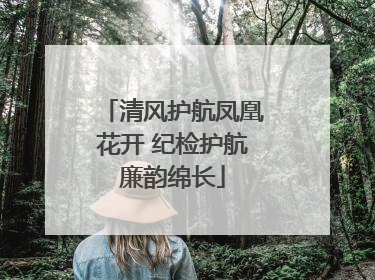 清风护航凤凰花开 纪检护航廉韵绵长